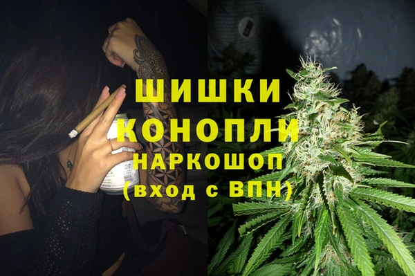 Альфа ПВП Сосновый Бор