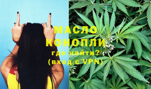 спиды Сосновка
