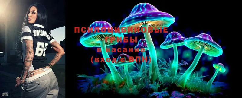 Псилоцибиновые грибы Psilocybine cubensis  Тулун 